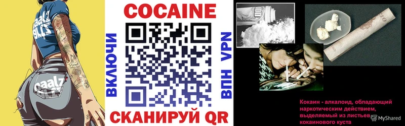 Кокаин FishScale  Купить где  Лесной 