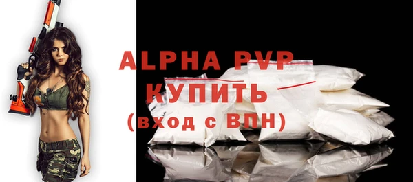 спиды Инта
