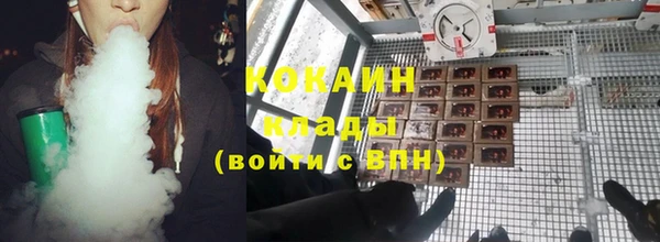 ГАЛЛЮЦИНОГЕННЫЕ ГРИБЫ Иннополис