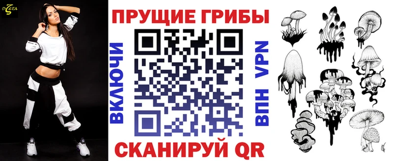 Купить где  Лесной  Псилоцибиновые грибы MAGIC MUSHROOMS 
